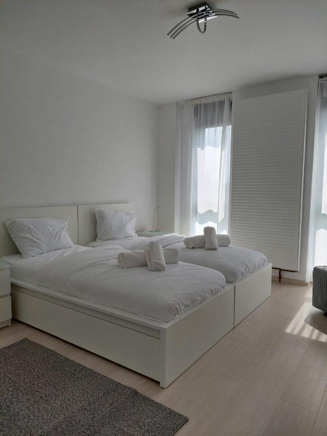 Casa Maria City Apartments Τιμισοάρα Εξωτερικό φωτογραφία