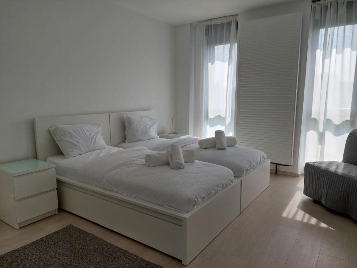 Casa Maria City Apartments Τιμισοάρα Εξωτερικό φωτογραφία